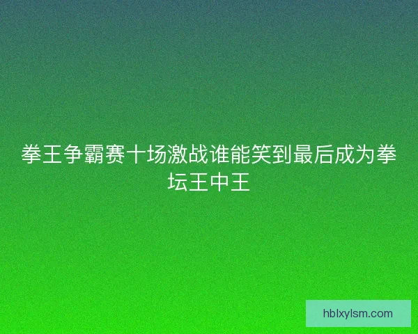 拳王争霸赛十场激战谁能笑到最后成为拳坛王中王